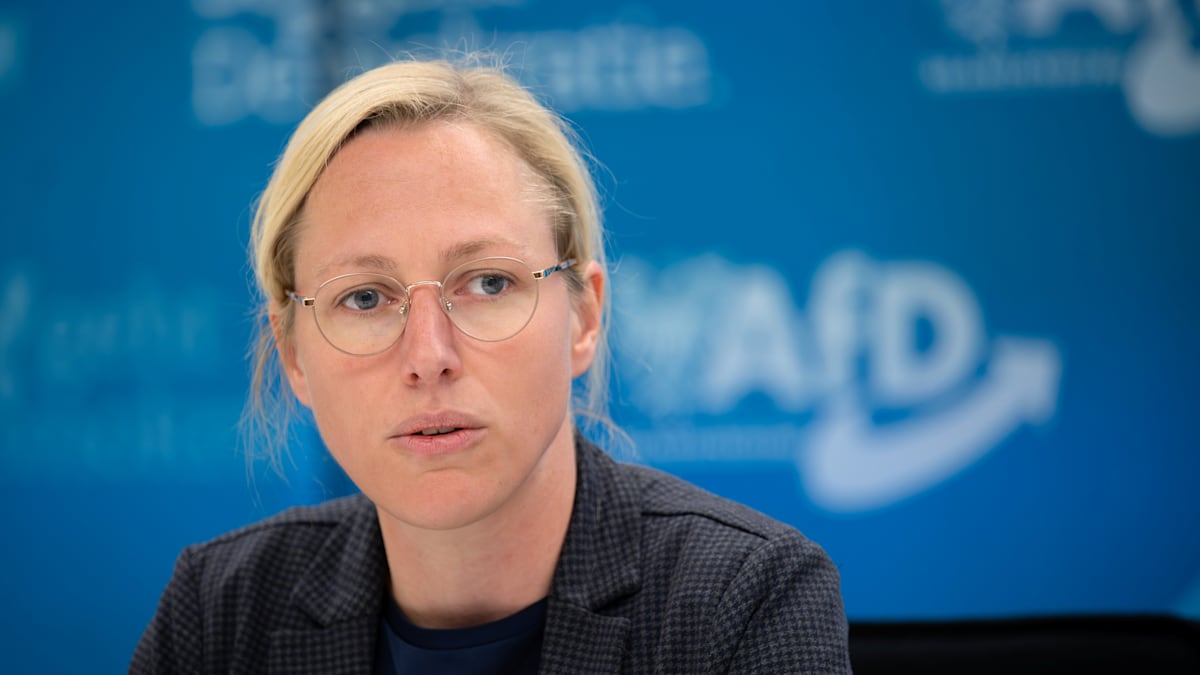 Protests against the visit of an AfD politician in Oslo