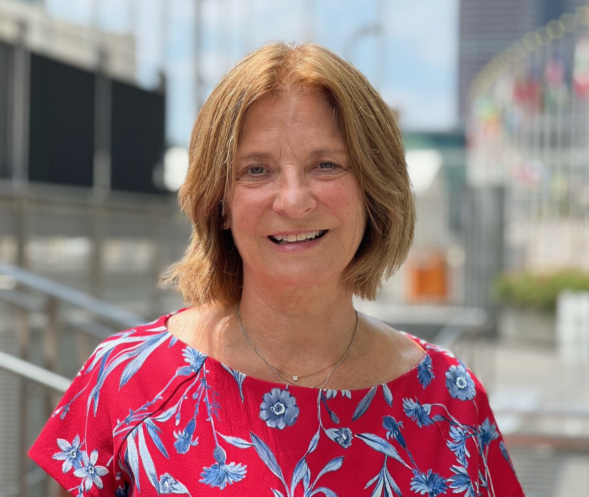 Norway's ambassador to Iraq and Jordan, Mona Juul, resigns over links to Jeffrey Epstein